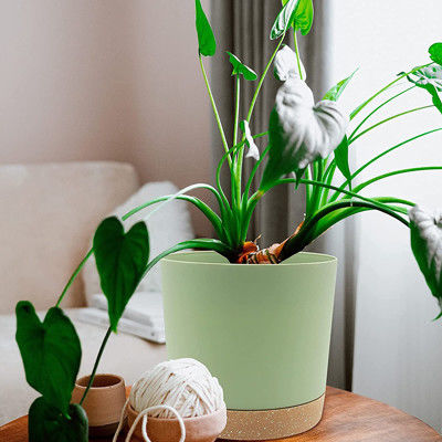 أواني نباتات بلاستيكية خضراء داخلية مع فتحات تصريف وقاعدة قابلة للإزالة