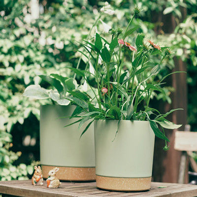 أواني نباتات بلاستيكية خضراء داخلية مع فتحات تصريف وقاعدة قابلة للإزالة